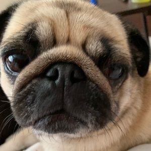 Meet your Posher, Katherine